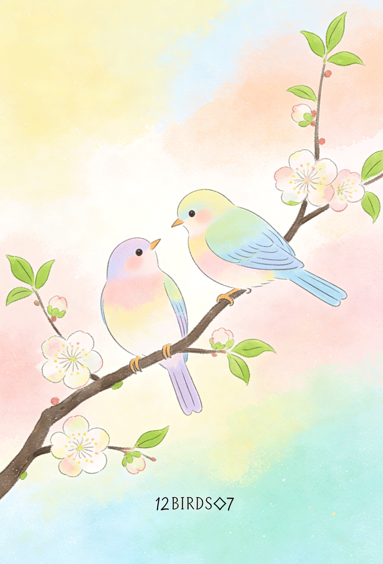 鸟