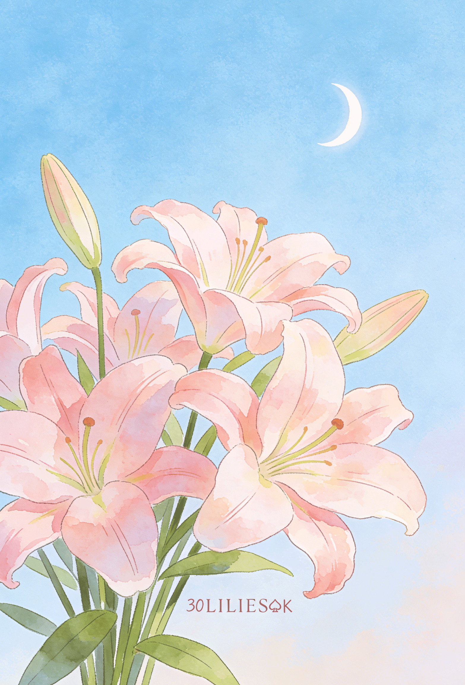百合